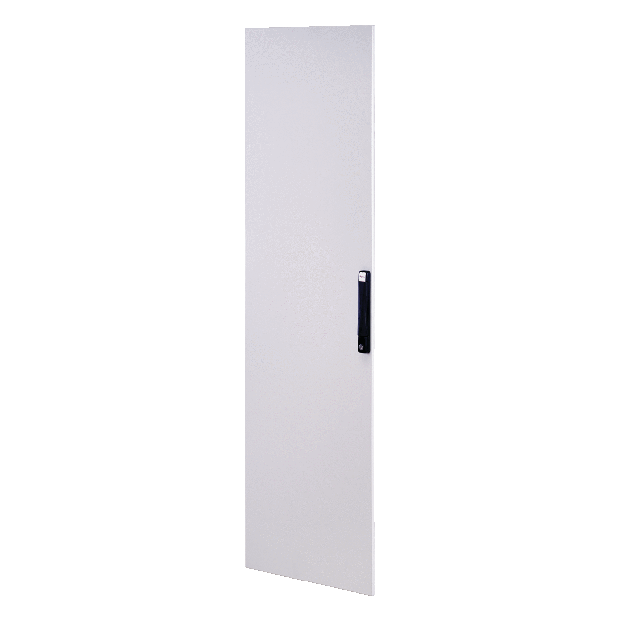 P2D208 ProLine P40 Single Solid Door, 78.1 in H x 31.4 in W, For Use With 2000 mm H x 800 mm W Frames, Steel