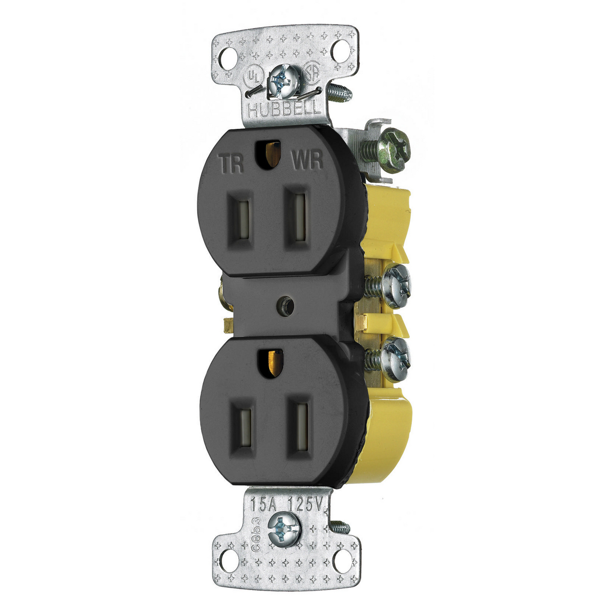 RR15SBKWRTR 1-Phase Duplex Self-Grounding Standard Traditional Tamper/Weather-Resistant Screw Mount Straight Blade Receptacle, 125 V AC, 15 A, 2 Poles, 3 Wires, Black