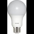 A Line Bulbs 800 Lumens Led A19 9W 60Eq E26 CRI80 5000K Non-Dimming