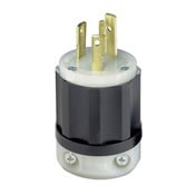 2621 1-Phase Grounding Cable Mount Locking Plug, 250 V AC, 30 A, 2 Poles, 3 Wires, Black/White