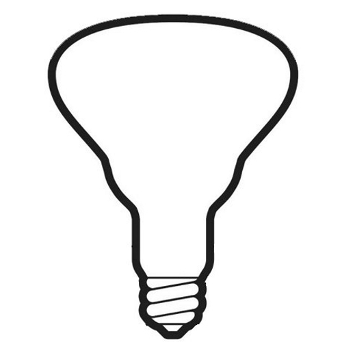 250R40/1/PRO Heat Lamp, 250 W, E26 Incandescent Lamp, R40 Shape, 200 Lumens