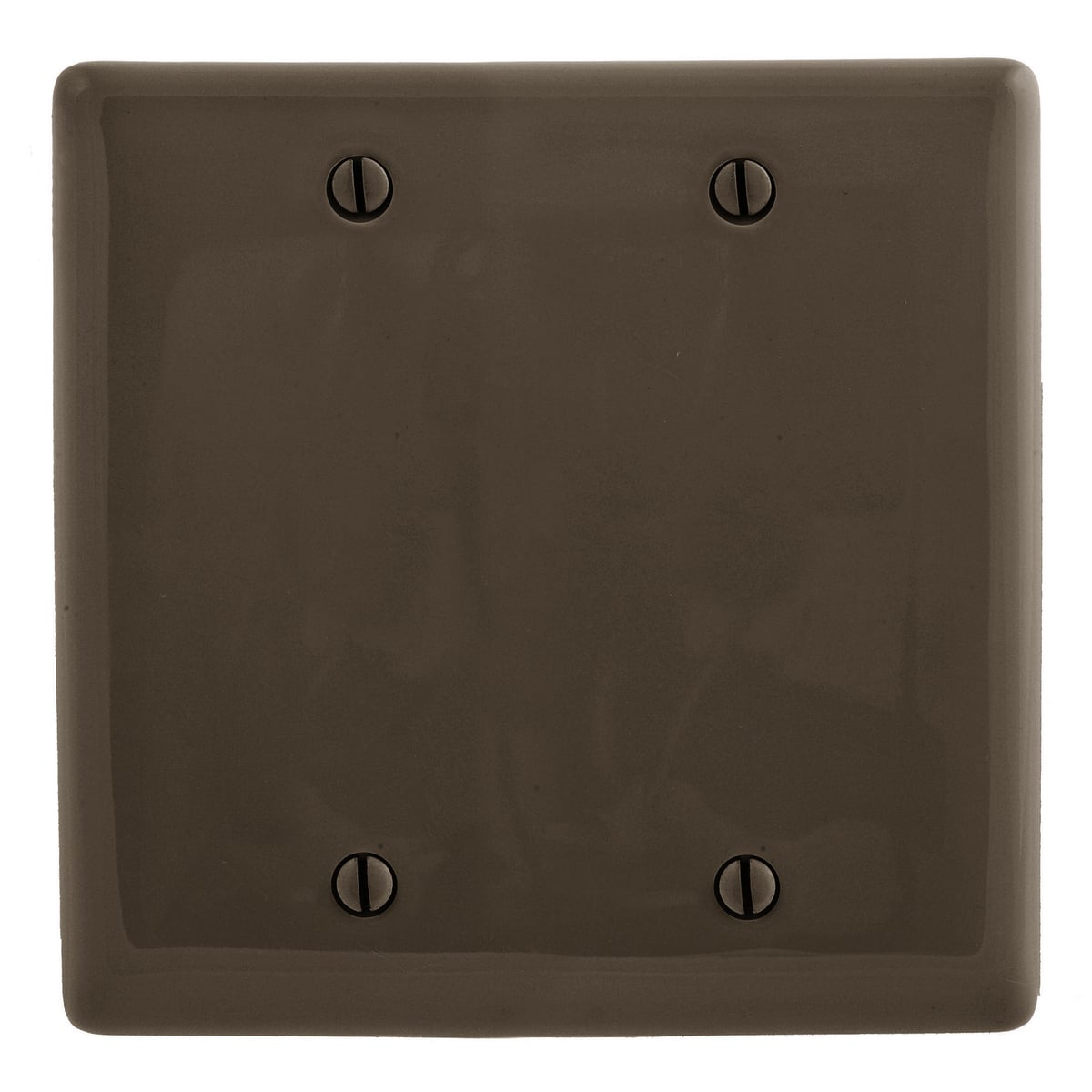 NP23 Standard Blank Wall Plate, 2 Gangs, 4.68 in W x 4.63 in H, Nylon, Black