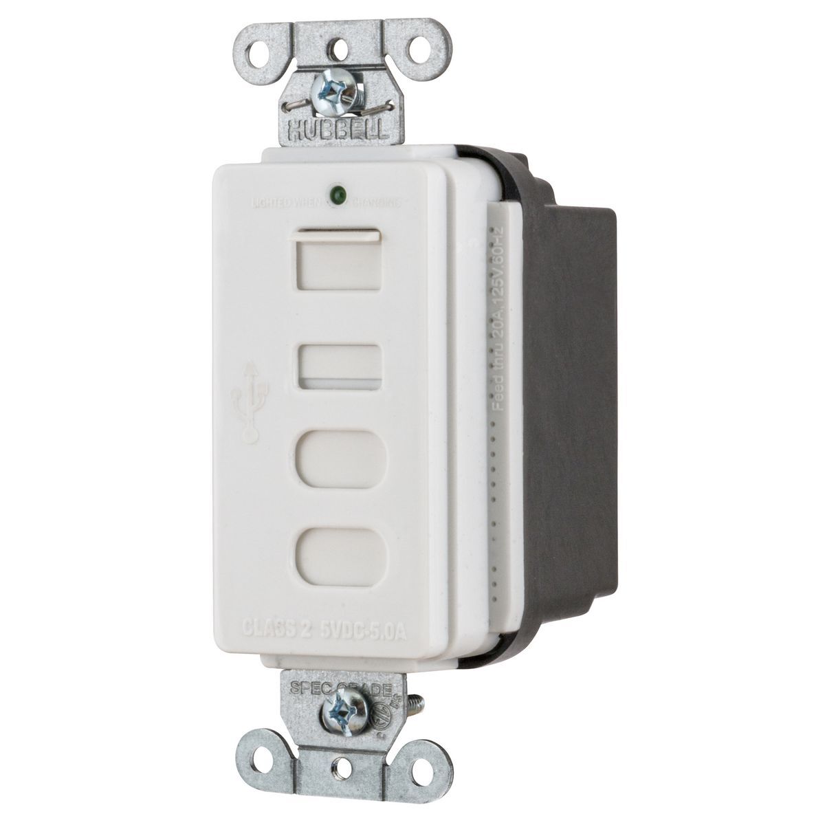 USB4ACW Decorator Duplex Tamper-Resistant Receptacle and USB Charger, 125 V, 15 A, 2 Poles, 3 Wires, White
