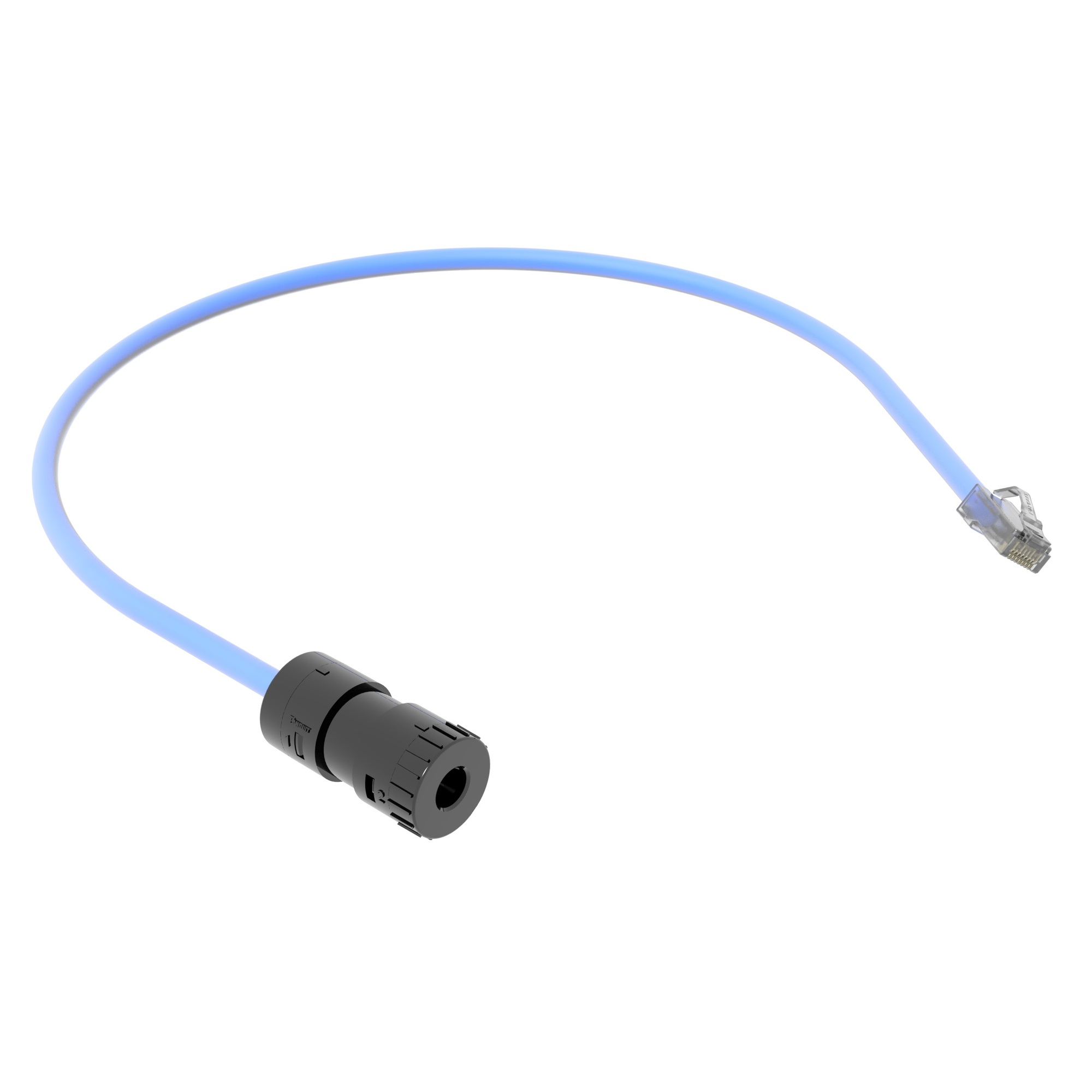 6A UTP Connector, Plenum RJ45 Cord, 0.5M, Blue