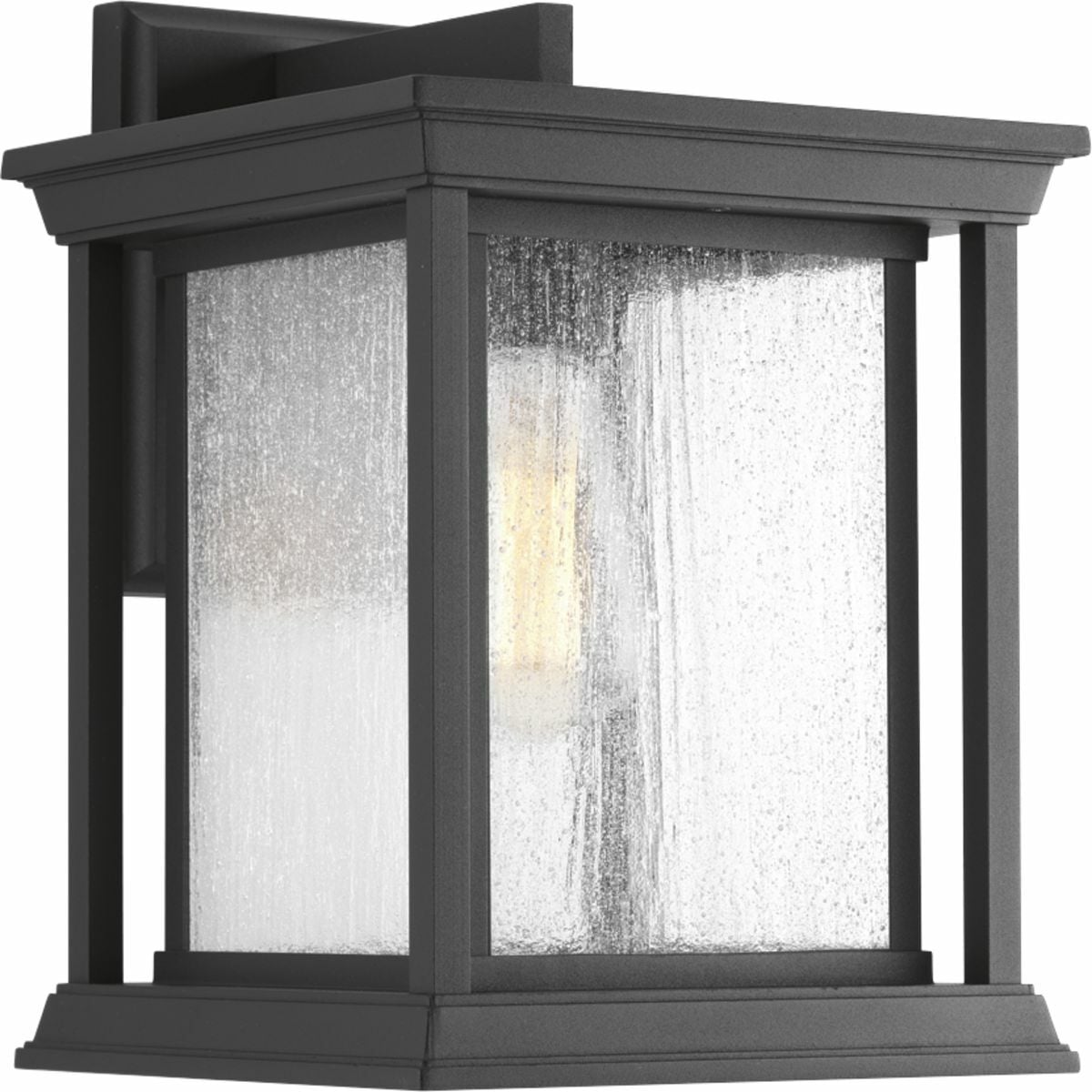 P5611-31 Endicott Modern/Large Pre-Wired Traditional/Casual/Transitional/Coastal/Farmhouse Wall Lantern, 100 W, E26 Incandescent Lamp