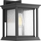 One-Light large wall lantern with a Craftsman-inspired silhouette, Endicott offers visual interest to your home's exterior. The elongated frame is finished with clear seeded glass.