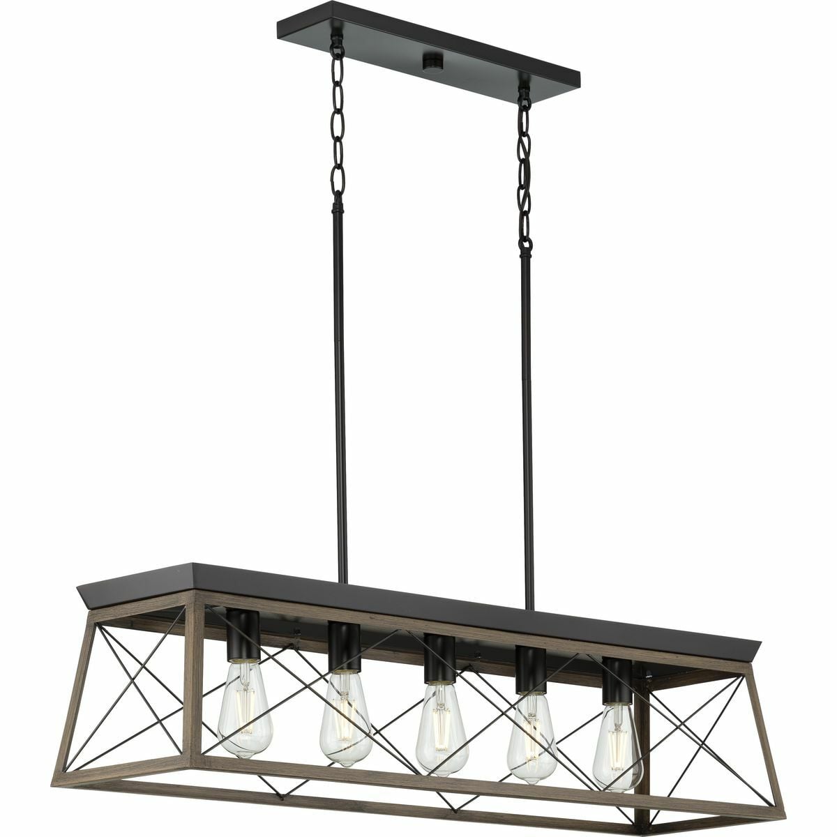 P400048-020 Briarwood Farmhouse/Urban Industrial/Coastal/Transitional Chandelier, (5) A19 Lamp, 120 V AC, Antique Bronze/Painted Housing