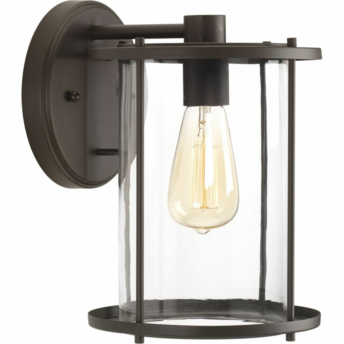 P560058-020 Gunther Urban Industrial/Transitional/Farmhouse Wall Lantern, 100 W, E26 Incandescent Lamp, A19 Shape