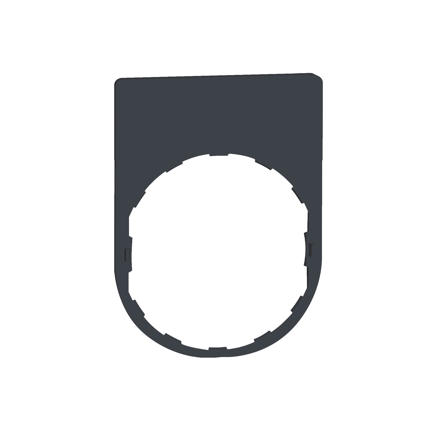 ZBYP2101 1-Row Standard Unmarked Legend Plate, 40 mm H x 30 mm W, Plastic, Dark Gray Field