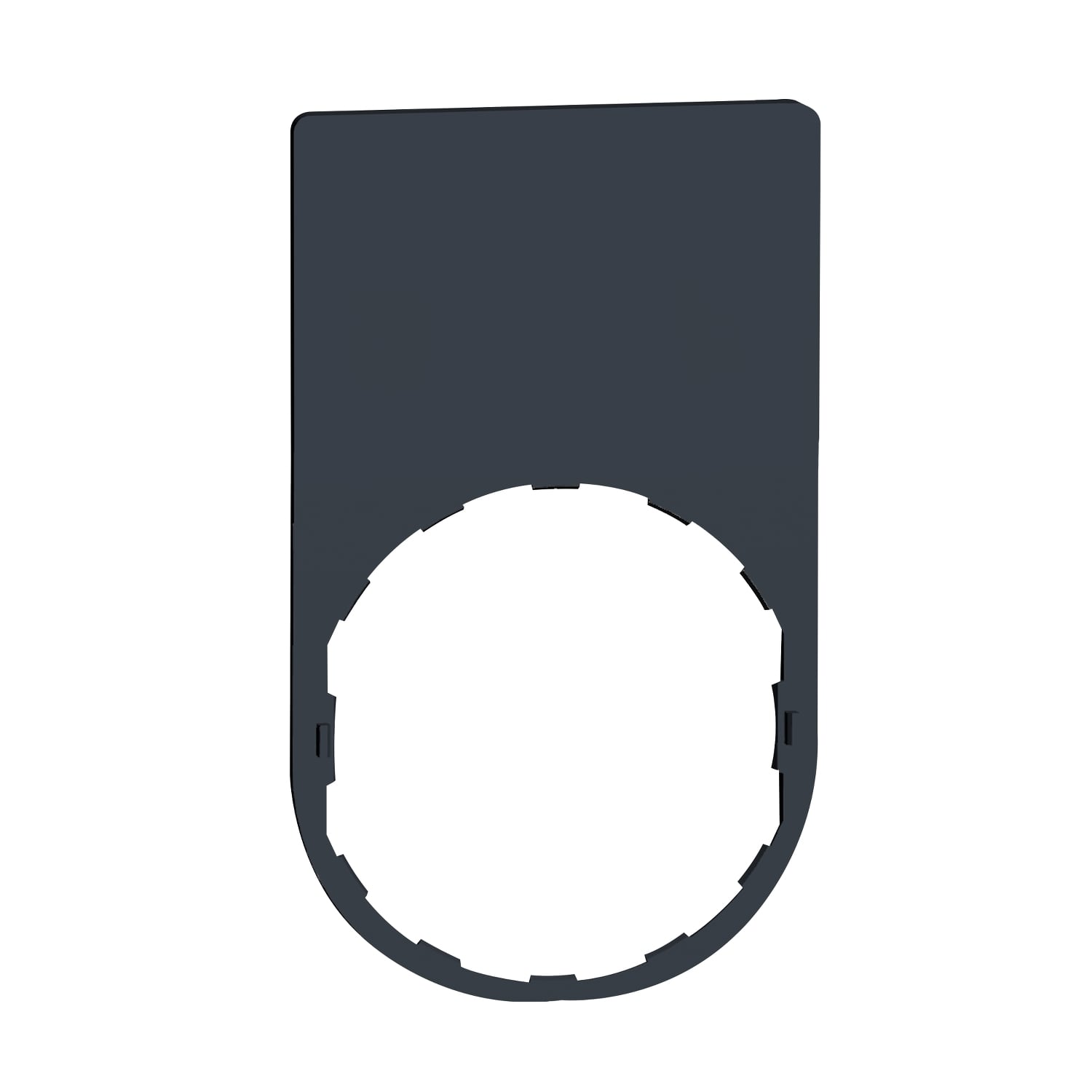 ZBYP6101 Unmarked Legend Plate, 40 mm H x 30 mm W, Plastic, Dark Gray Field
