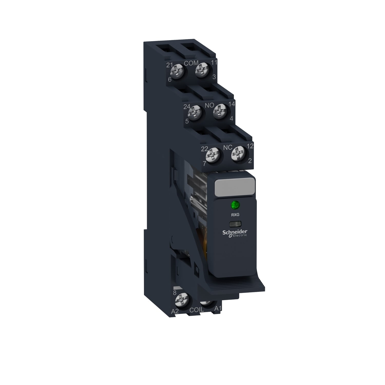 RXG23BDPV Interface relay Interface Relay, 5 A, 2CO 2 Form C contact