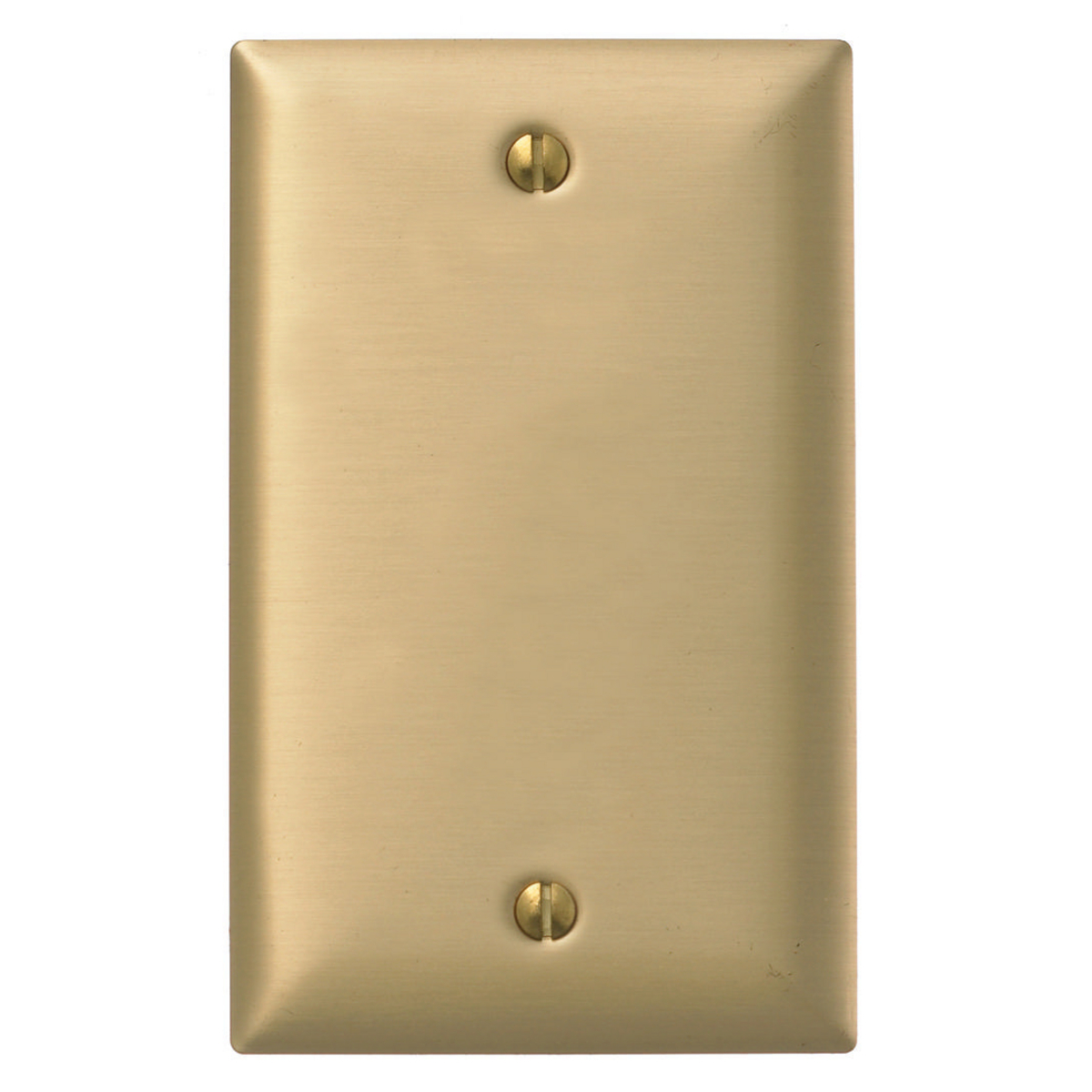SB13 Standard Blank Wall Plate, 1 Gangs, 2.87 in W x 4.5 in H, Brass
