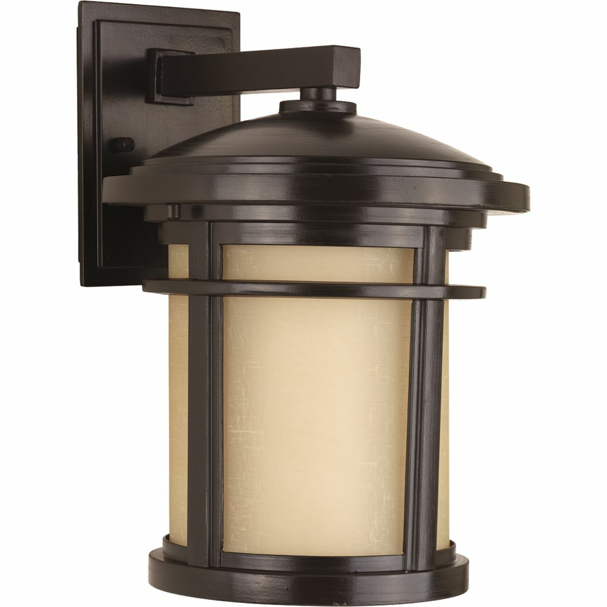 P6085-20 Wish Casual/Craftsman/Medium Pre-Wired Traditional/Transitional Wall Lantern, 100 W, E26 Incandescent Lamp, A19 Shape