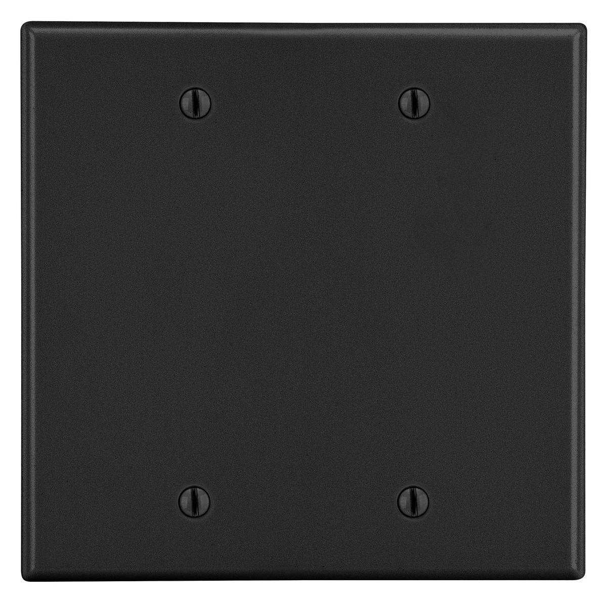 P23BK Non-Metallic Standard Blank Wall Plate, 2 Gangs, 4.69 in W x 4.63 in H, Polycarbonate Thermoplastic, Black