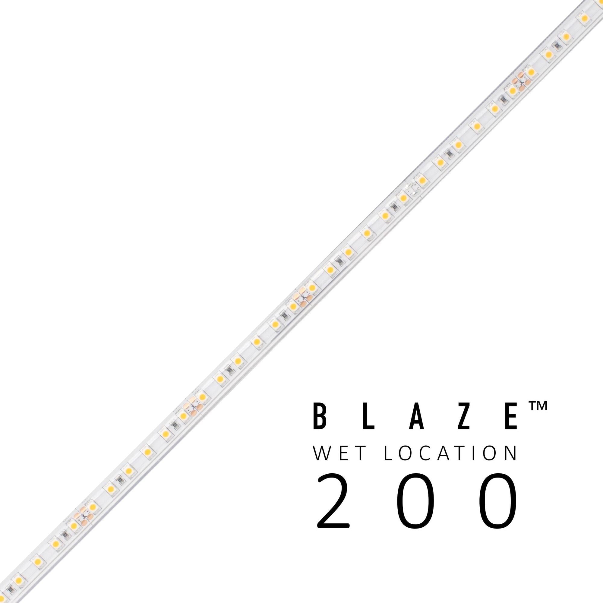 BLAZE 200 Wet Location Strip Light, 12V, 5000K, 16.4 ft. Spool