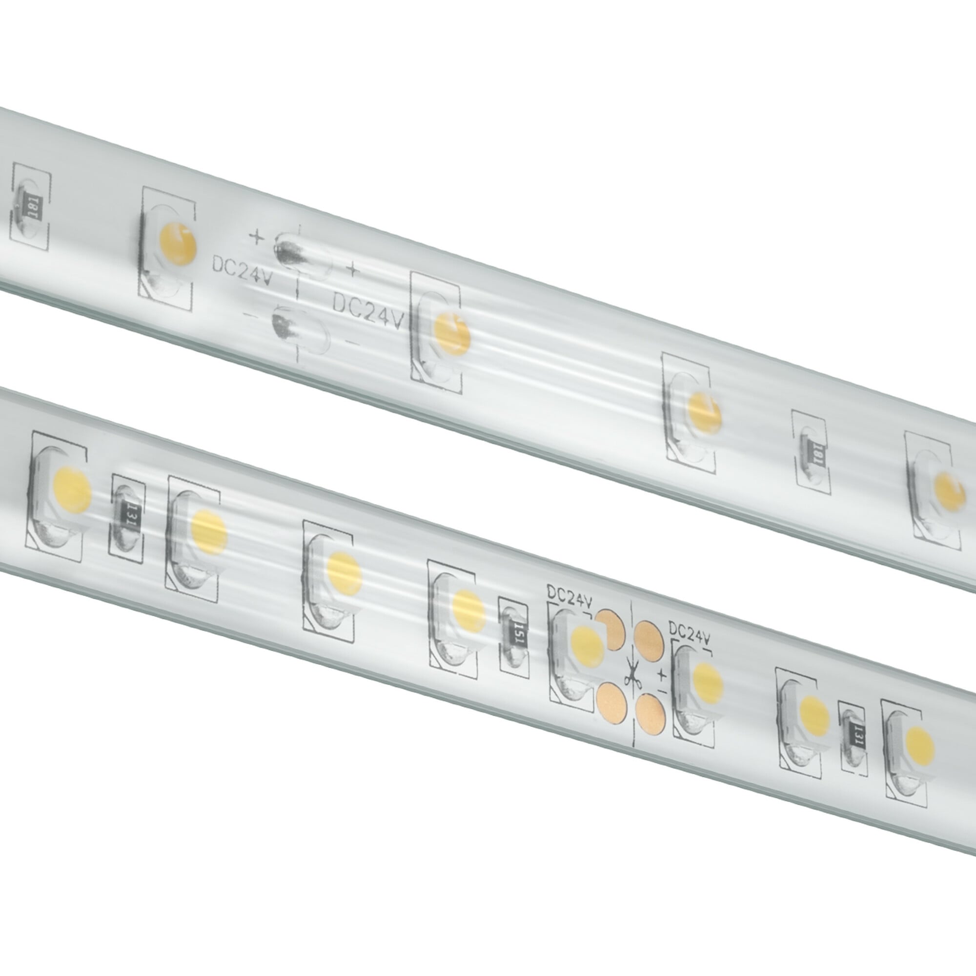 BLAZE 300 Wet Location Strip Light, 24V, 5000K, 16.4 ft. Spool