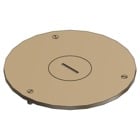 Cover Plate for Flush Service Floor Boxes, 4 Inch Diameter, 1 Inch NPS Plug Size, Brass