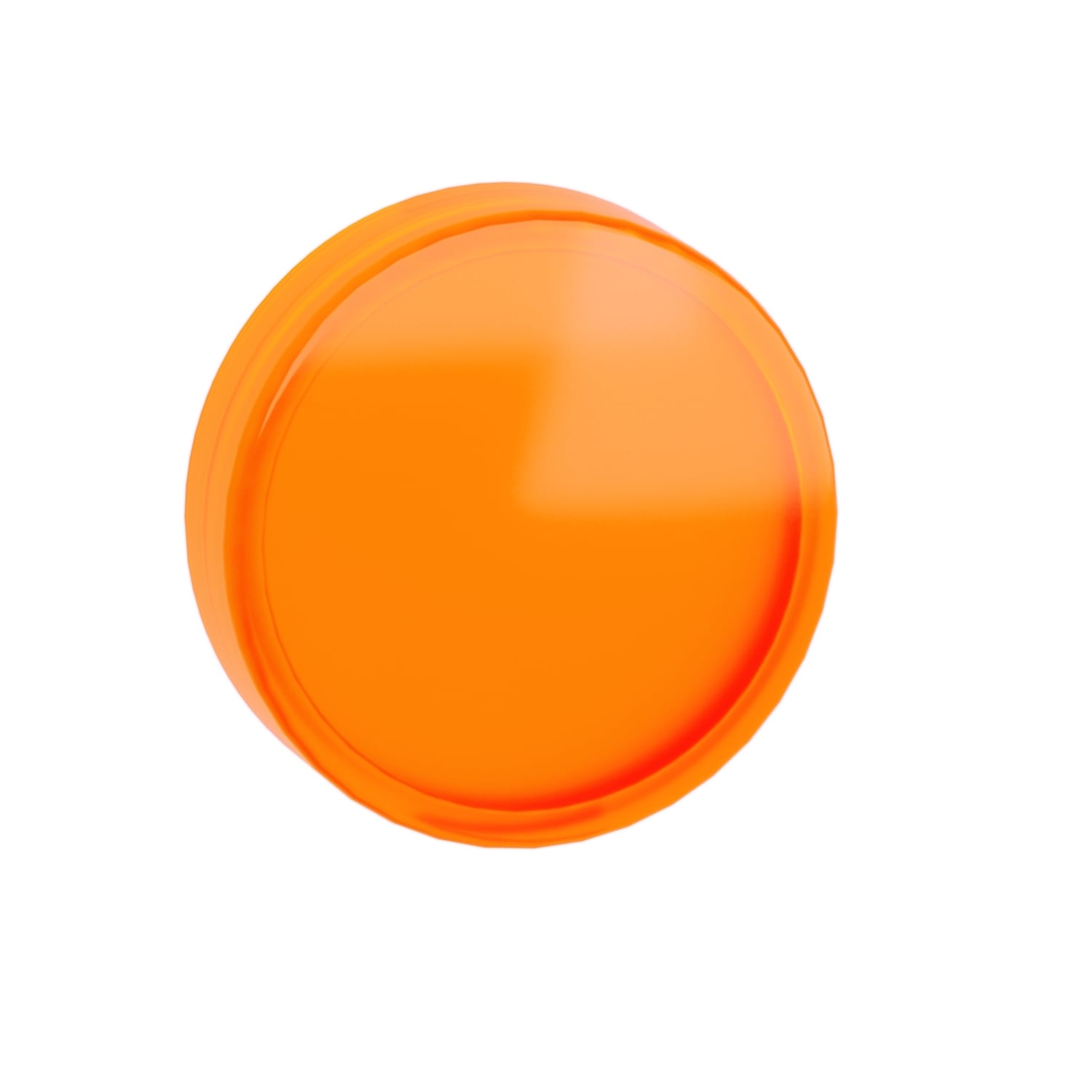 ZBV0153 Unmarked Lens Cap, 22 mm, 1/2/3/4/4X/12/13 NEMA Rating, Round Shape, Plastic