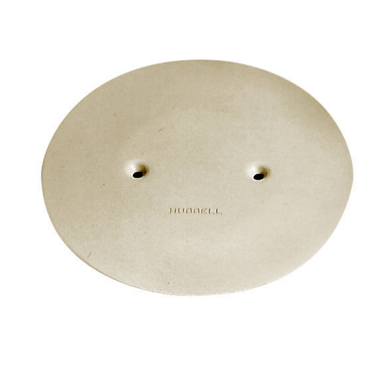 AP2I Flush Standard Abandonment Plate, 3 in Dia, Aluminum