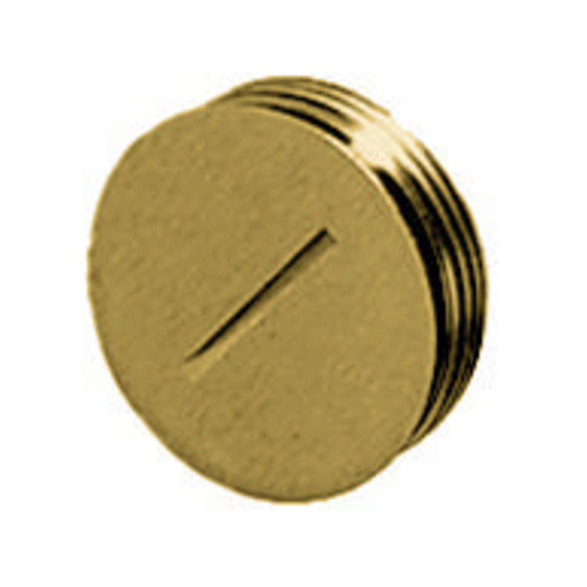 HBL5236PLUG Replacement Threaded Plug, For Use With HBL5236, 125 V Voltage Rating, 15 A Current/Amperage Rating, 0.5 Maximum Horsepower, Brass