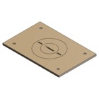 Cover Plate for Multi-Gang Floor Boxes for Power and Communications, Length 4-1/2 Inches, Width 3 Inches, 3/4 Inch and 2 Inch UN Plug, Brass