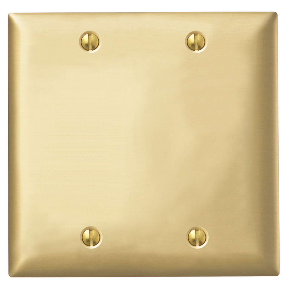 SB23 Standard Blank Wall Plate, 2 Gangs, 4.6 in W x 4.5 in H, Brass