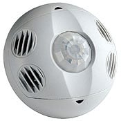 OSC10-MAW Low Voltage Occupancy Sensor, 24 V DC, PIR/Ultrasonic Sensor, 1000 sq-ft Coverage, 360 deg Viewing