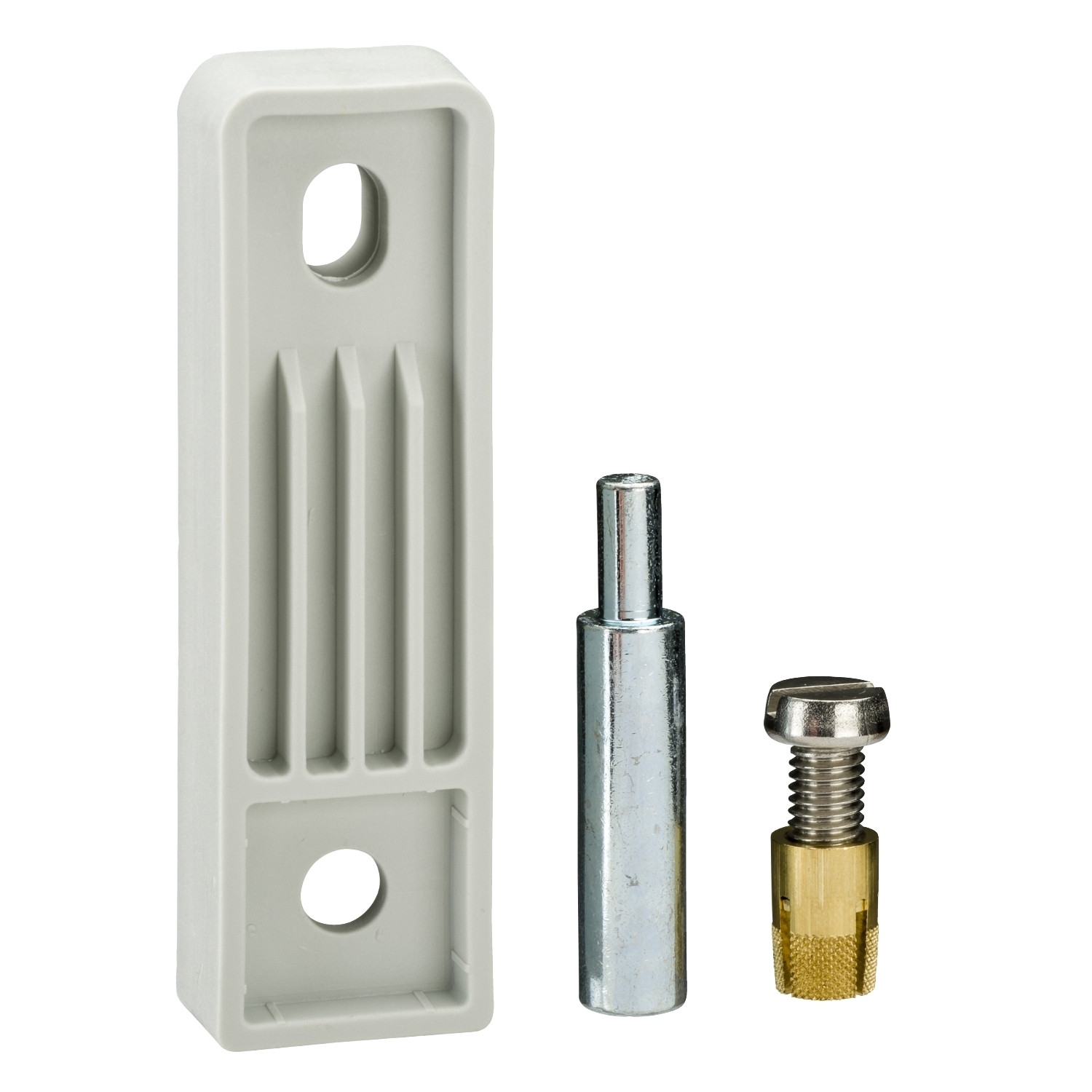 NSYPFPLMG Wall Mount Fixing Lug, Polyamide 6, RAL 7035 Gray