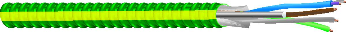 55573901 Type MCAP HCF Armor Cable, Coil Packaging, 600 V AC, (2) 12 AWG Solid Copper Conductor, 250 ft L