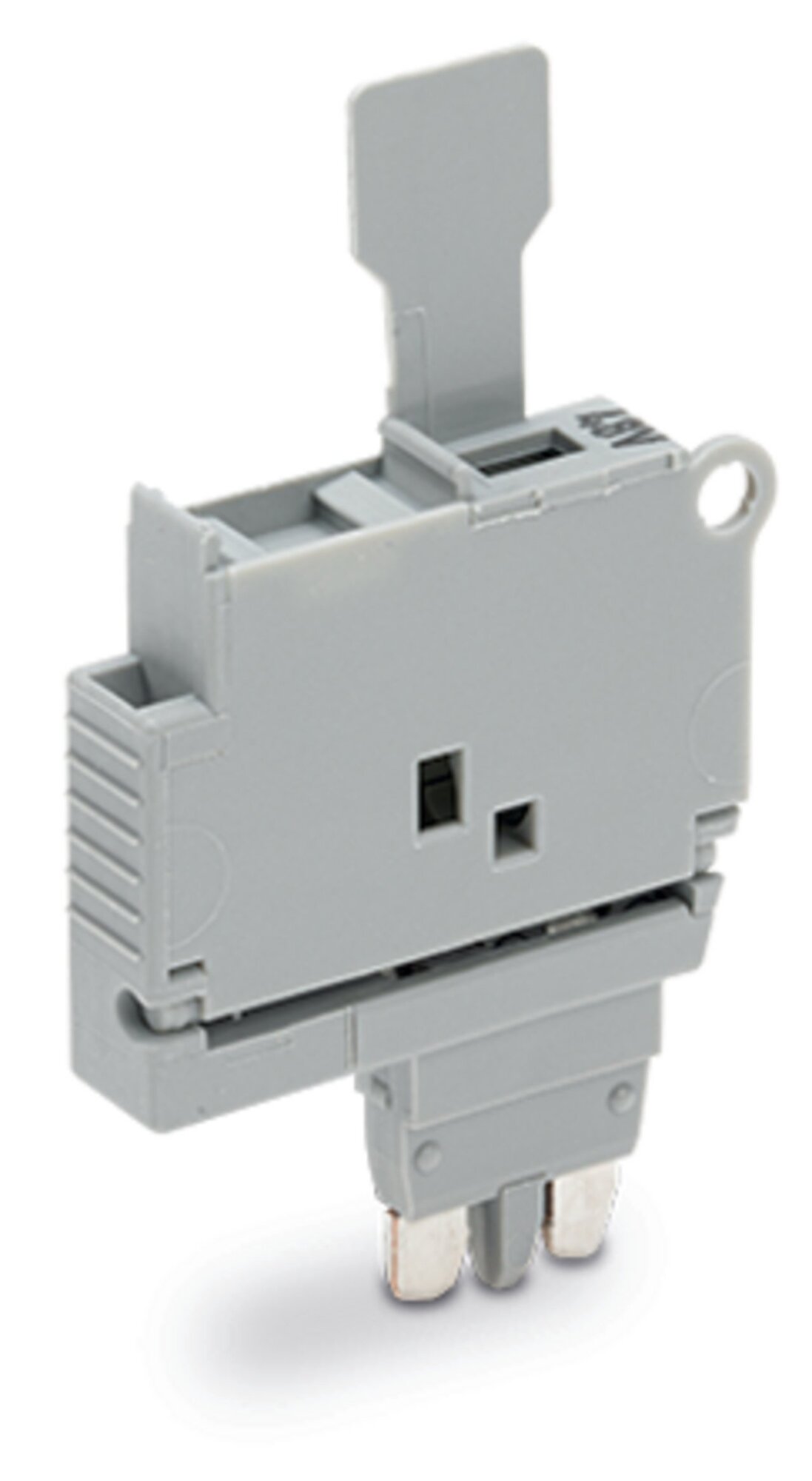 2004-911/1000-542 Seamless Double Fuse Plug, 250 V, 6.3 A