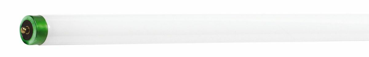 236851 ALTO 800 Plus Fluorescent Lamp, 59 W, 5900 Lumens, 85 CRI, 4100 K, 96 in L