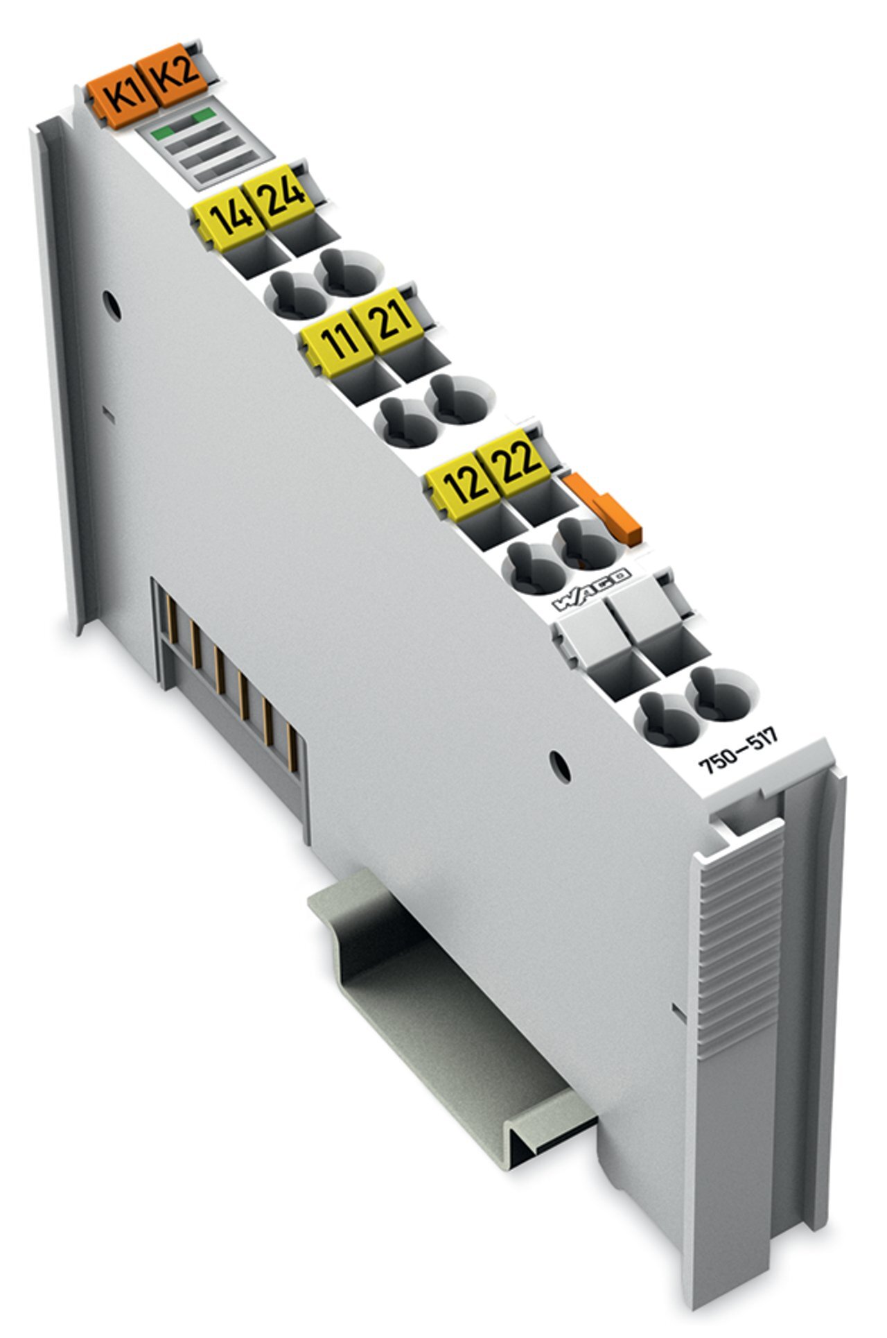 750-517 750, 250 V AC Input, 1 A Input