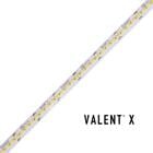 VALENT X 300 24V High Output Tape Light, 3500K - 16.4 ft. Spool
