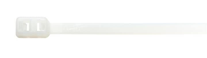 TB-12-50RLDH Ty-Rap Double Loop Cable Tie, 11.8 in L x 0.19 in W, Nylon/Polyamide 6.6