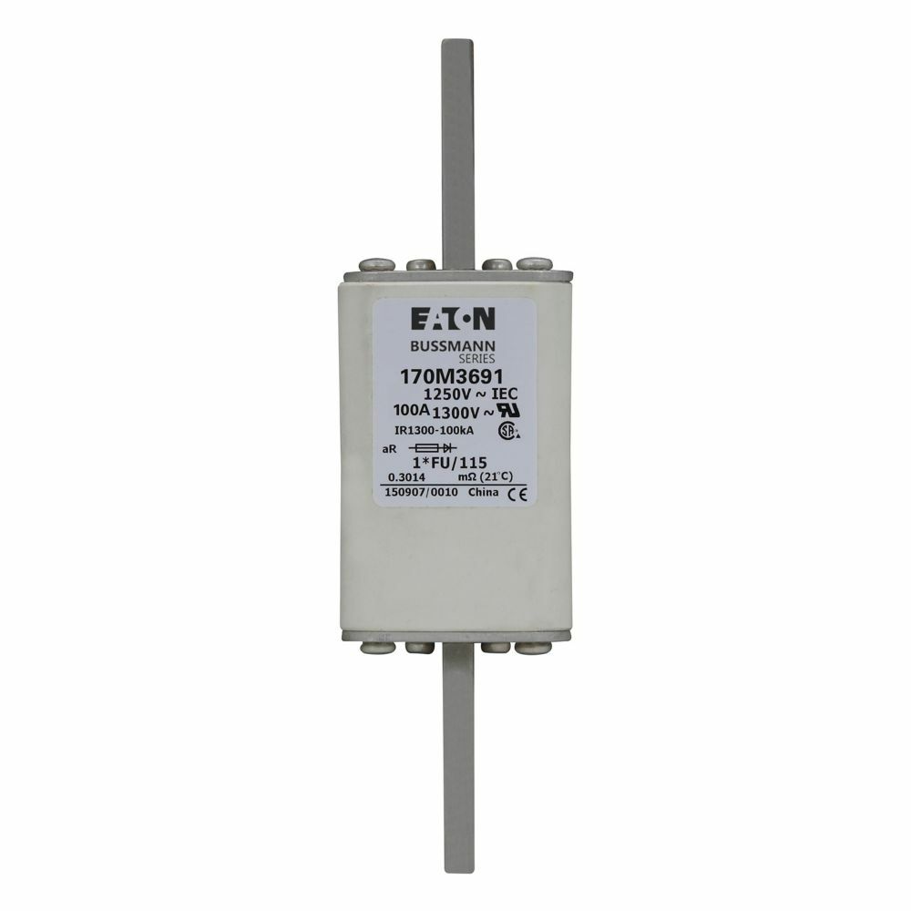170M3691 Semi-Conductor High Speed Fuse, 100 A, 1.25 kV, 100 kA Interrupt, Class: aR, Square Body