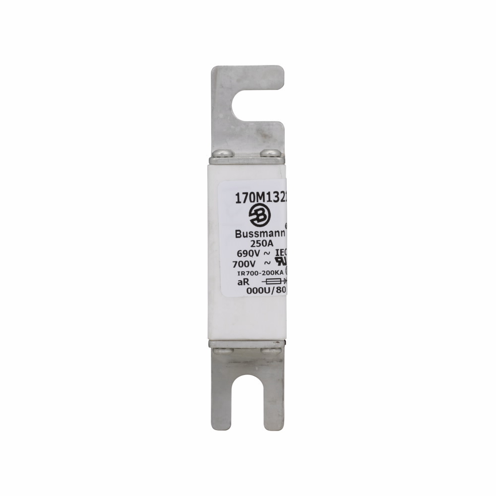 170M1321 Type U/80 High Speed Fuse, 250 A, 690 V AC, 200 kA Interrupt, Class: aR, Square Body