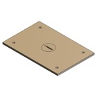 Cover Plate for Multi-Gang Floor Boxes for Power and Communications, Length 4-1/2 Inches, Width 3 Inches, 1/2 Inch NPS Plug, Brass