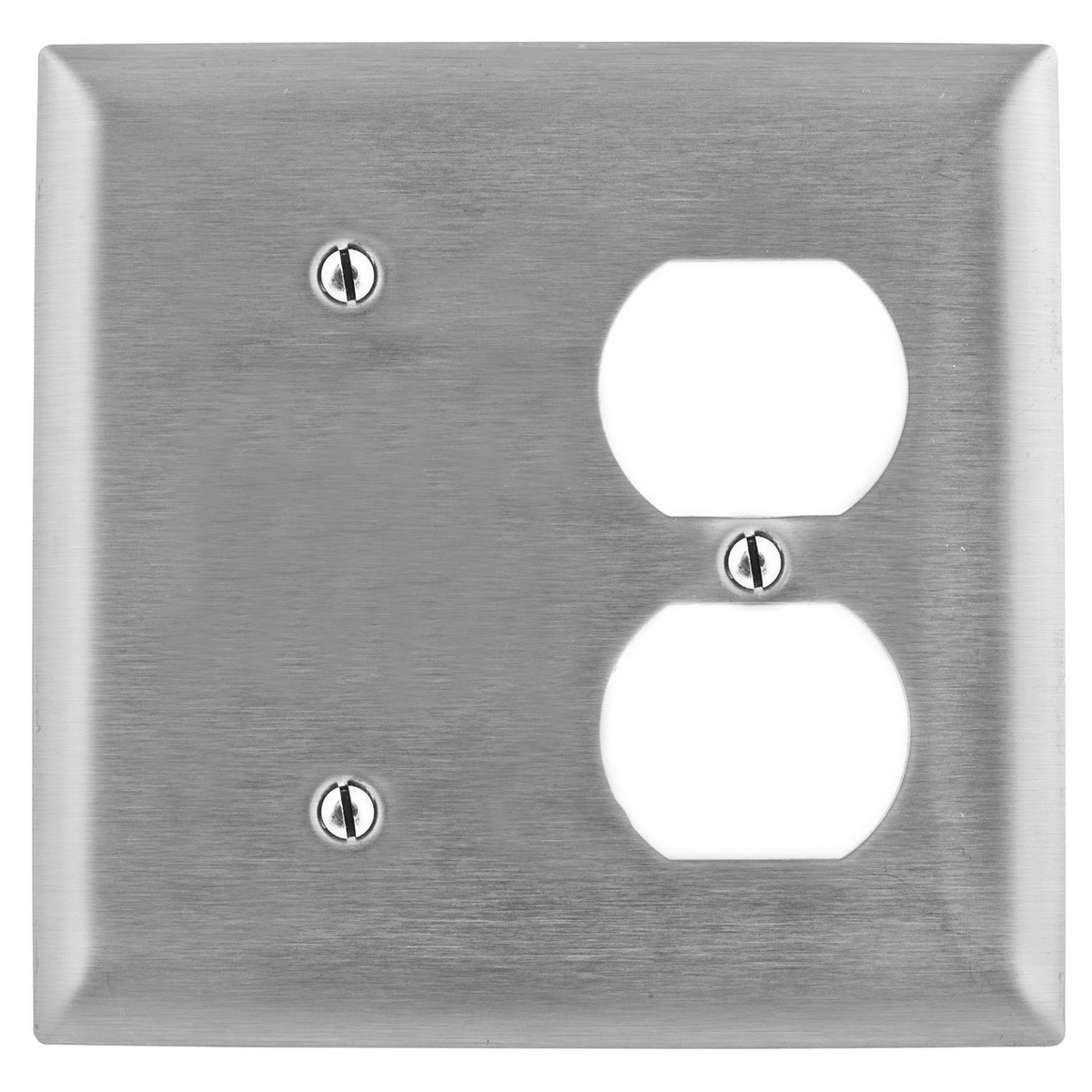 SS138 Standard Combination Wall Plate, 2 Gangs, 302/304 Stainless Steel