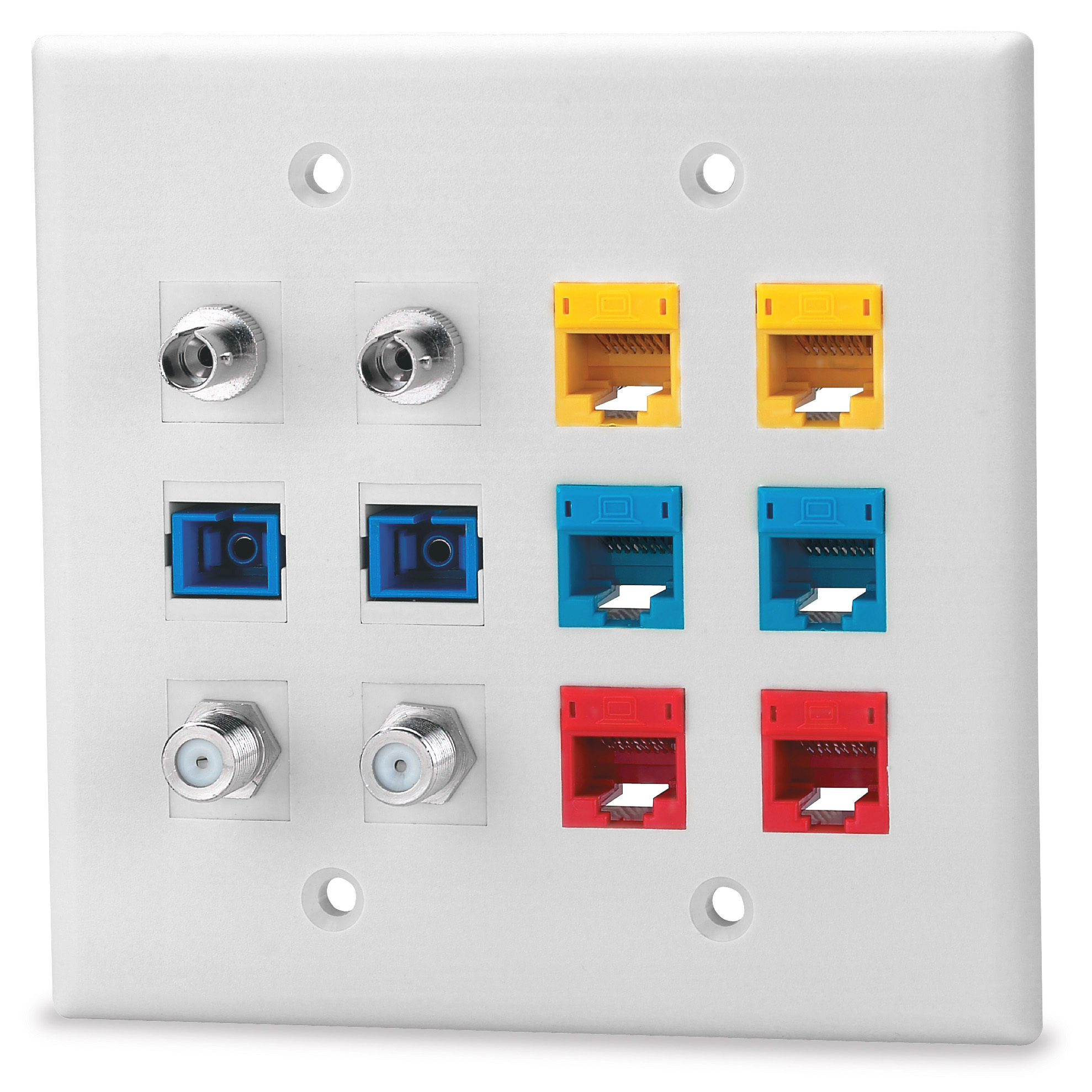 12-Port Double Gang Faceplate w/o Labeling, White