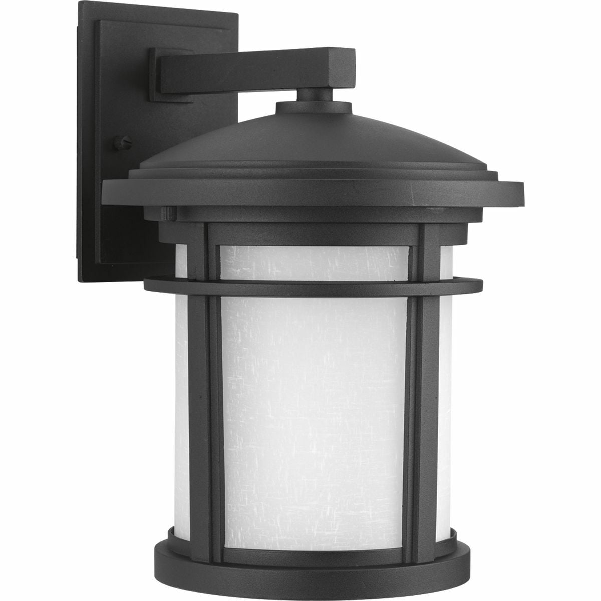 P6085-31 Wish Medium Pre-Wired Traditional/Casual/Transitional/Craftsman Wall Lantern, 100 W, E26 Incandescent Lamp, A19 Shape