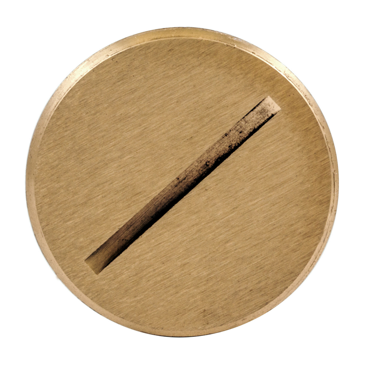S5007 Standard Sized Flush Plug, For Use With S3725, SA3725, S3625 and SA3625 Cover, Brass