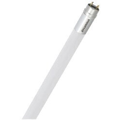 LED15T8L48FGIS850SUBG9/40642 SubstiTUBE Double Ended Non-Dimmable Lamp, 15 W, G13 Lamp, T8 Shape, 2200 Lumens
