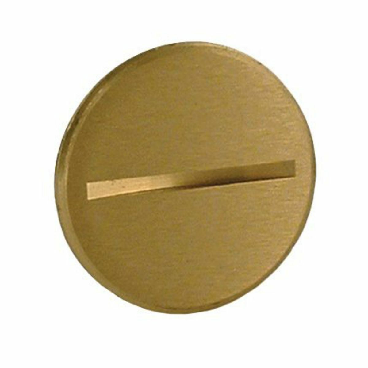 6225 1-Piece Abandon Round Replacement Slotted Crown Plug, 1.3 in L x 1.3 in W x 0.19 in H, For Use With 1 in Fine Thread 6285, 6289 Floor Box Covers