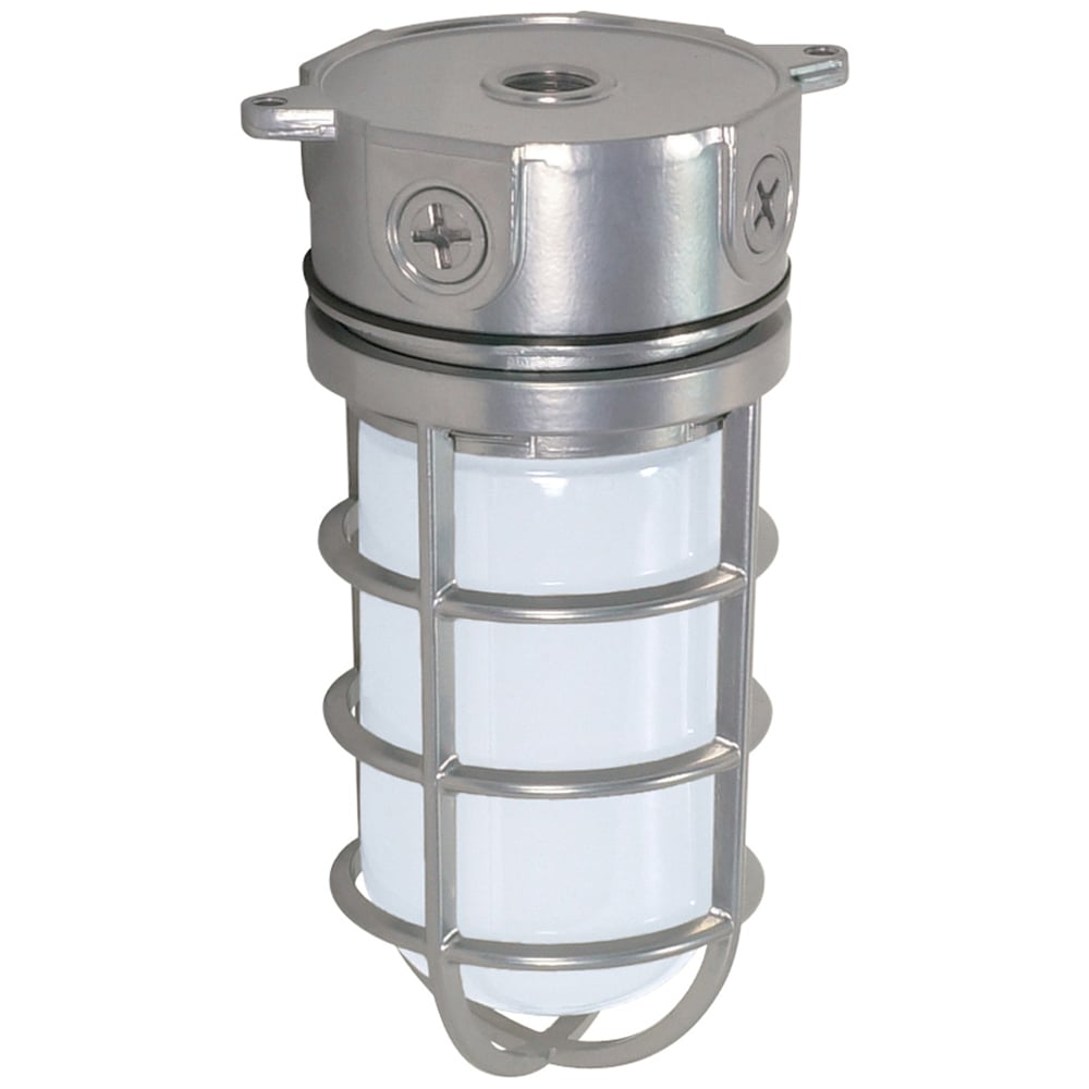 76-624 Industrial Traditional Utility Outdoor Light, (1) A19 Lamp, 100 W Fixture, 120 VAC, Metallic Silver Housing