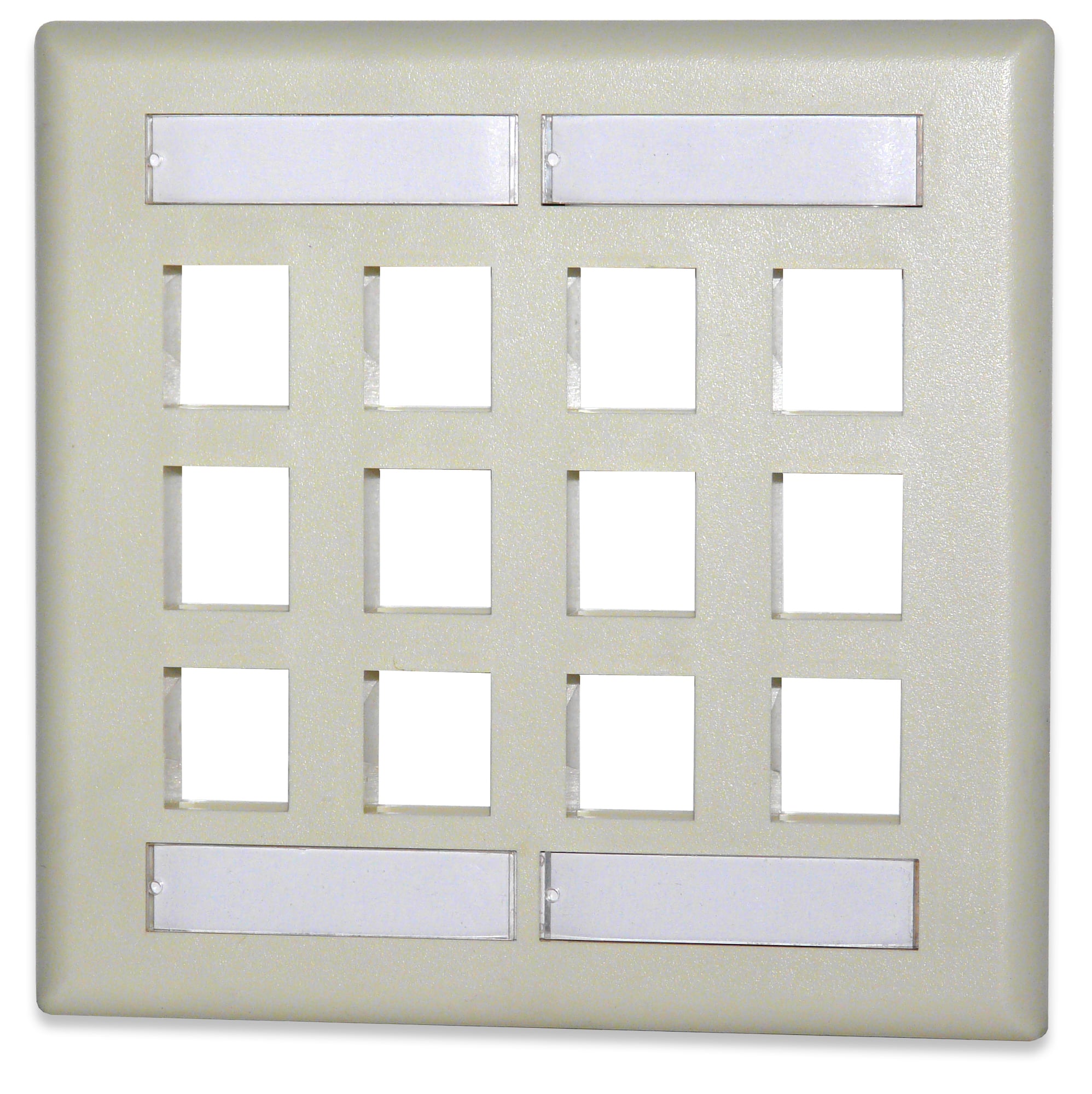 12-Port Double Gang Faceplate w/Labeling, Ivory