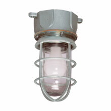 717A Oblong Globe and Guard,) A19 Lamp, 300 VAC, Natural Housing