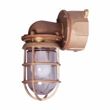 729B7 Globe and Guard,) A21 Lamp, 150 W Fixture, 300 VAC
