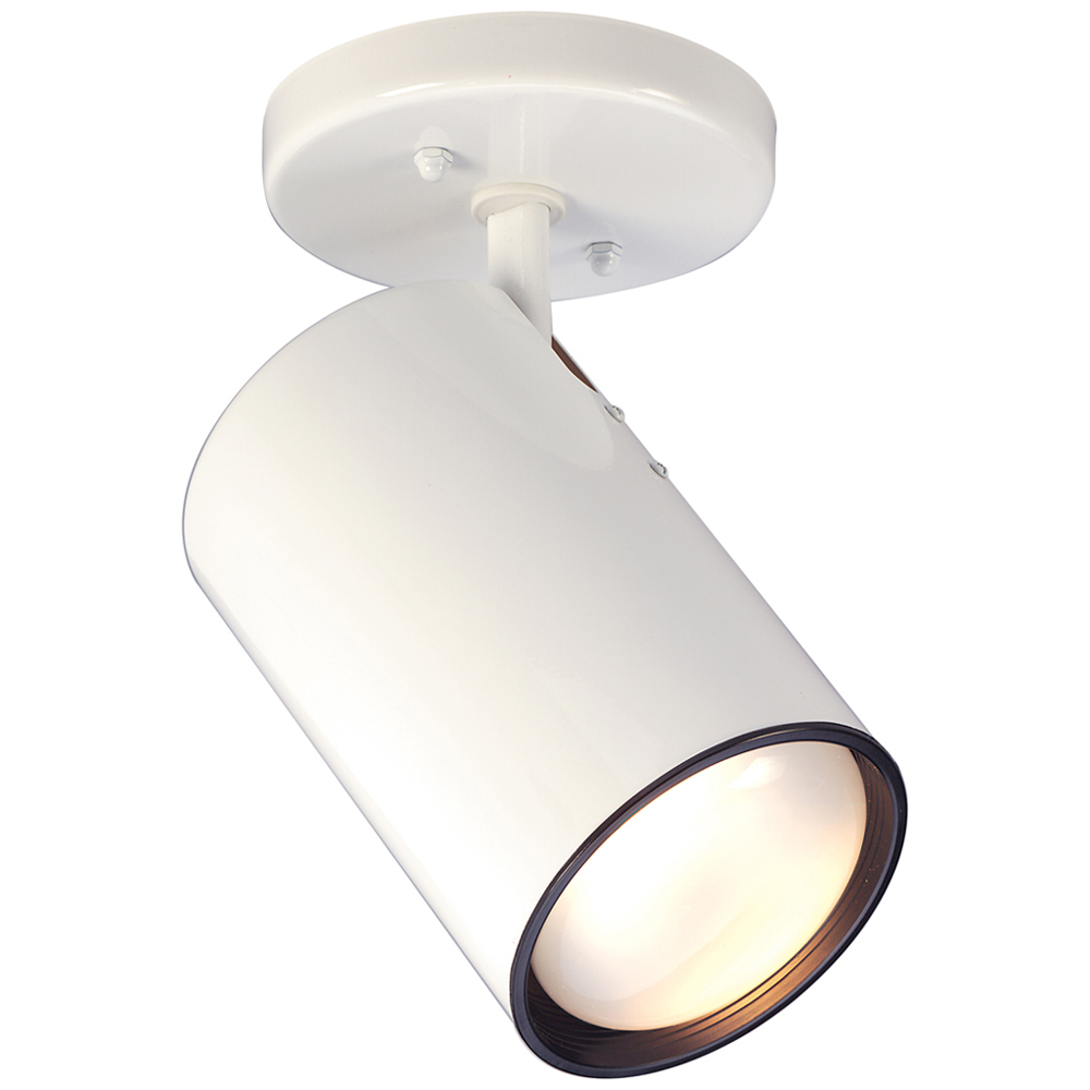 76-418 Traditional Semi-Flush Mount Light, (1) R30-PAR30 Halogen Lamp, 120 VAC, White Housing