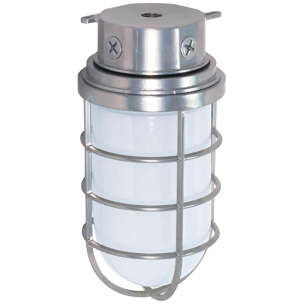 76-626 Industrial Traditional Utility Outdoor Light, (1) A19 Lamp, 200 W Fixture, 120 VAC, Metallic Silver Housing