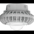 Hazardous, . LED 42W, 5000k, LED Ceiling with, Clear Globe Gray